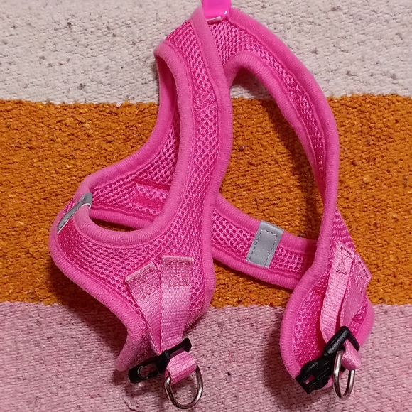 Dog harnessed - Picture 4 of 4